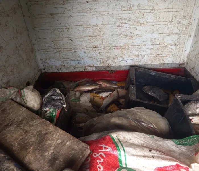 WhatsApp Image 2026-04-05 at 18.41.12(1)