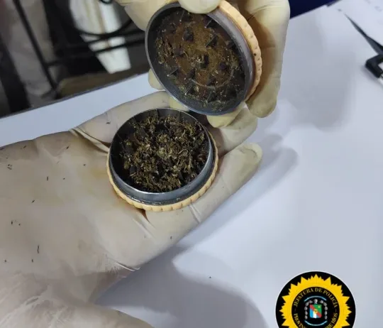 WhatsApp Image 2026-04-10 at 09.10.40(1)