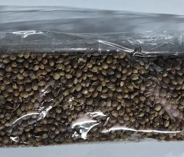 WhatsApp Image 2026-04-10 at 09.10.41