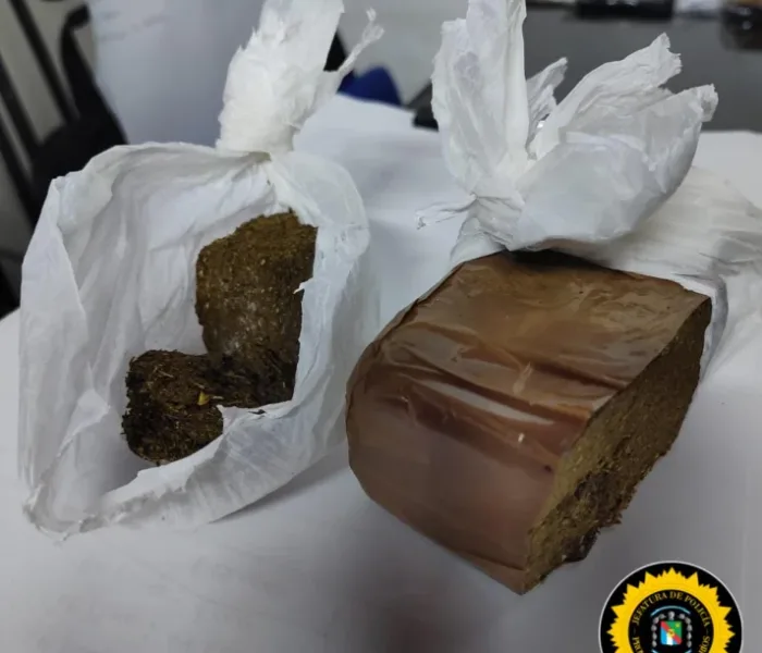 WhatsApp Image 2026-04-10 at 09.10.42(1)