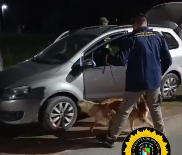 WhatsApp Image 2026-04-17 at 22.01.43(1)