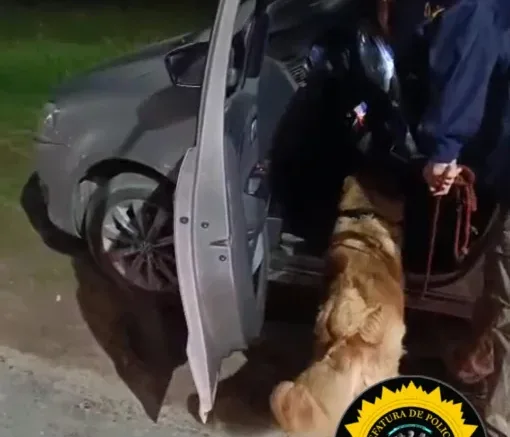 WhatsApp Image 2026-04-17 at 22.01.44