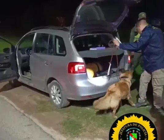 WhatsApp Image 2026-04-17 at 22.01.45(1)