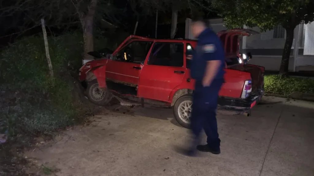 Chocó contra un árbol: iban siete jóvenes y el conductor dio positivo en alcoholemia