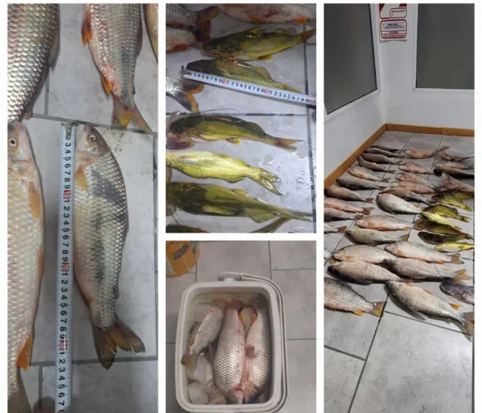 WhatsApp Image 2026-04-19 at 20.32.25