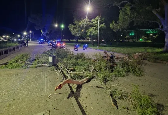 Grave siniestro en la Costanera de Victoria: una rama cayó sobre motos y dejó un herido de gravedad