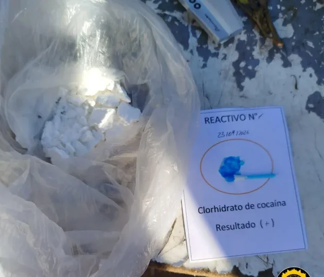 WhatsApp Image 2026-04-23 at 16.20.51(2)