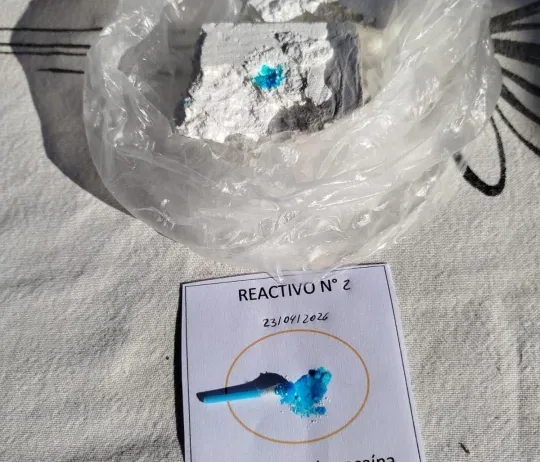 WhatsApp Image 2026-04-23 at 16.20.54