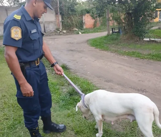 WhatsApp Image 2026-04-24 at 20.10.35