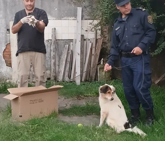 WhatsApp Image 2026-04-24 at 20.10.36