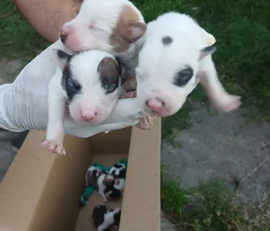 WhatsApp Image 2026-04-24 at 20.10.36(1)