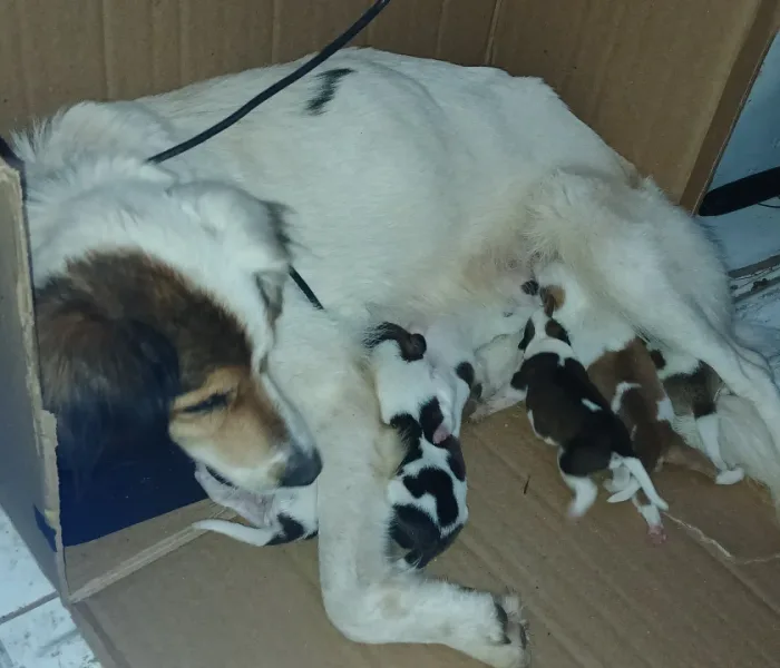 WhatsApp Image 2026-04-24 at 20.10.36(2)