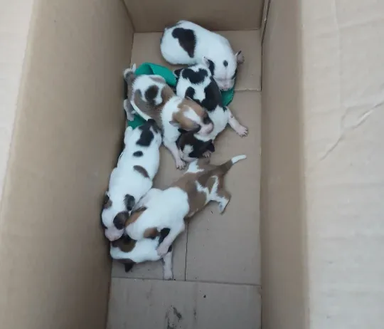 WhatsApp Image 2026-04-24 at 20.10.36(3)