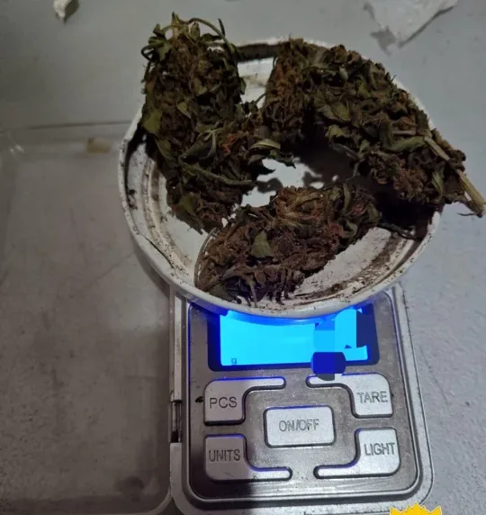 Huyó de un control y descubrieron que llevaba droga