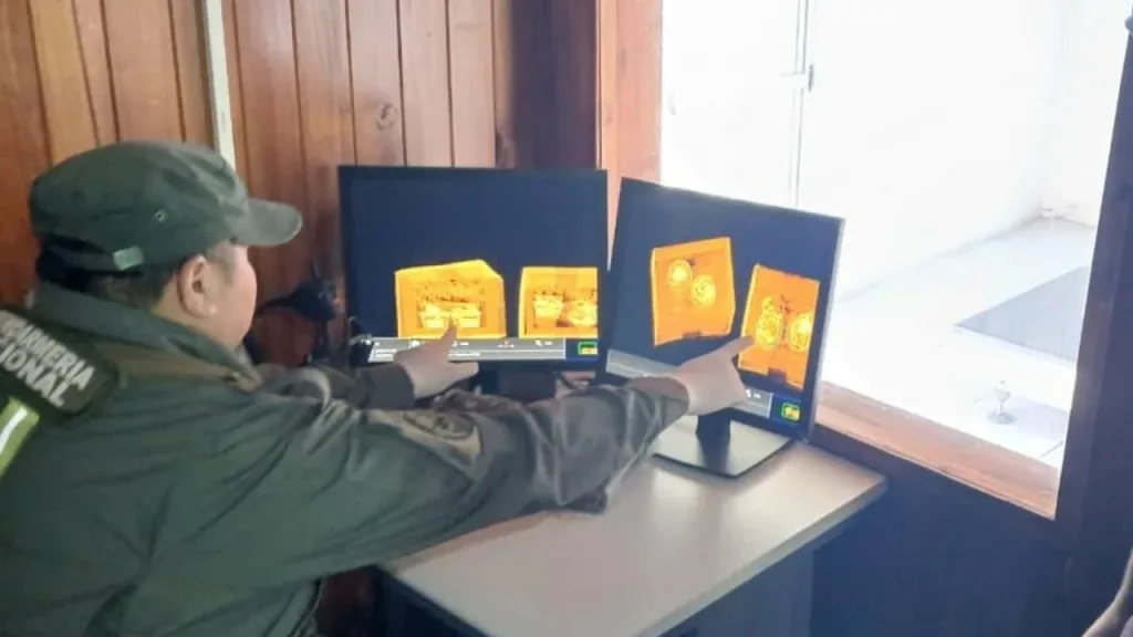 San José: Gendarmes rescatan seis crías de serpientes Boa constrictora que eran transportadas en una encomienda