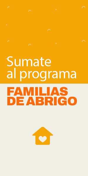 Publicidad