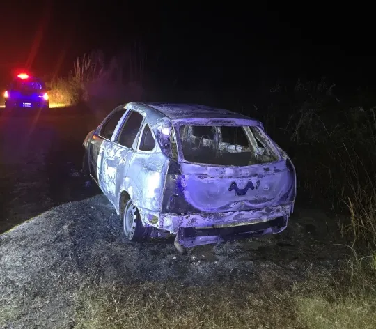 Un automóvil se incendió por completo cerca de Ibicuy y el fuego alcanzó la banquina