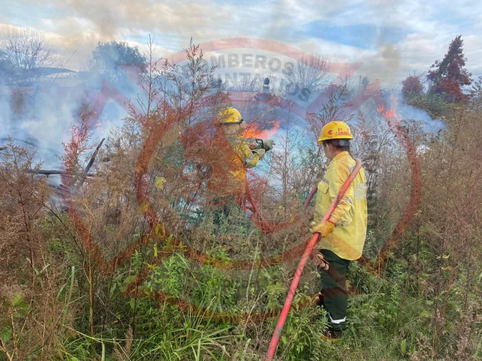 Rápida intervención de Bomberos evitó que un incendio de pastizales alcanzara una vivienda