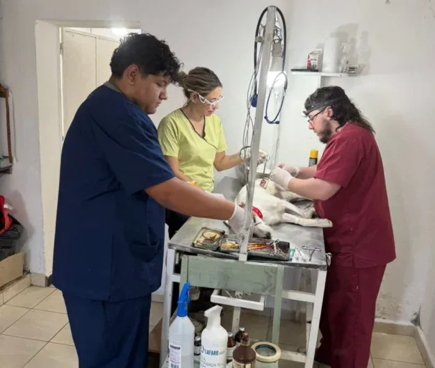 El Castramóvil seguirá una semana más en el barrio San Isidro