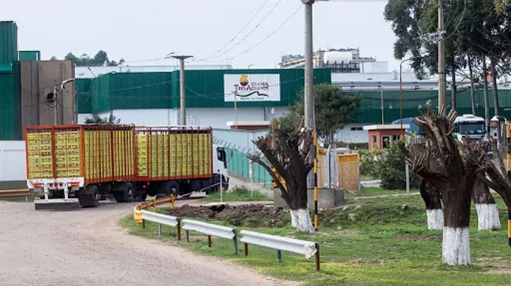 STIA salió al cruce de Granja Tres Arroyos y responsabilizó a la empresa por la crisis que afecta a los trabajadores