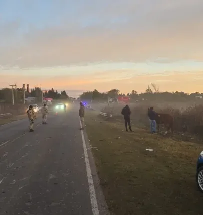 Una combi con 19 pasajeros chocó contra dos caballos sueltos en la Ruta 11