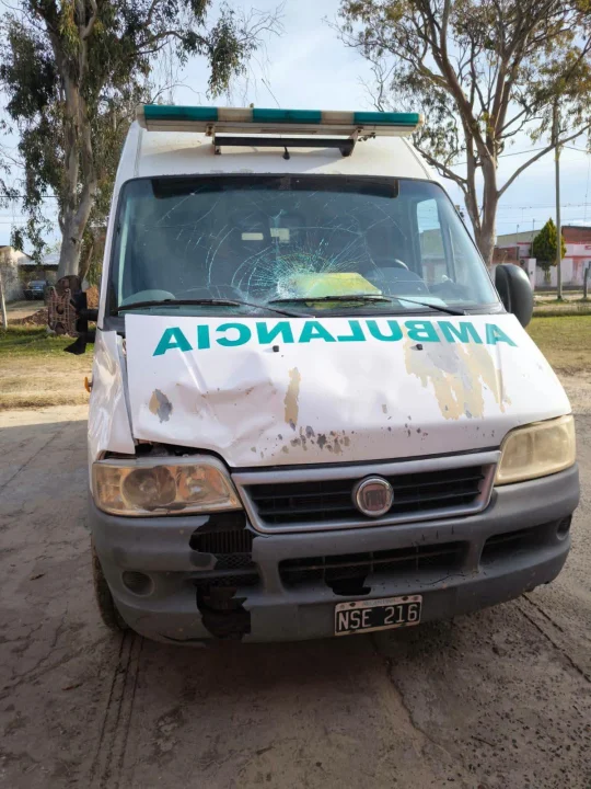 Ibicuy: Tras el accidente de una ambulancia con un caballo, el Municipio anunció controles y sanciones