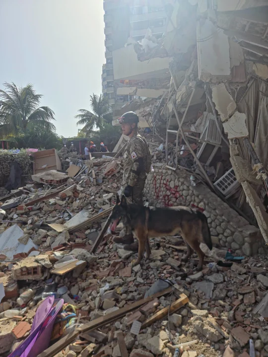 Equipos argentinos ya trabajan entre los escombros en Venezuela en busca de sobrevivientes tras los terremotos