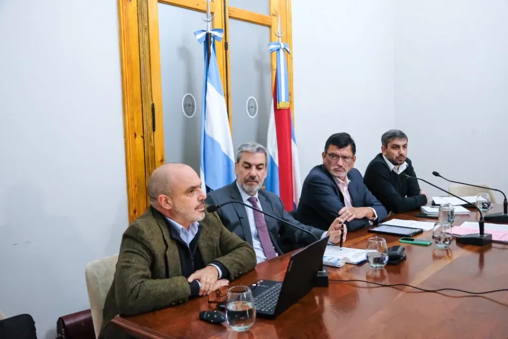 Boleas y Bagnat expusieron en el Senado sobre la reforma previsional
