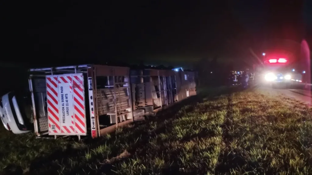 Volcó un camión cargado con vehículos 0 km cerca de Ceibas y el conductor resultó herido