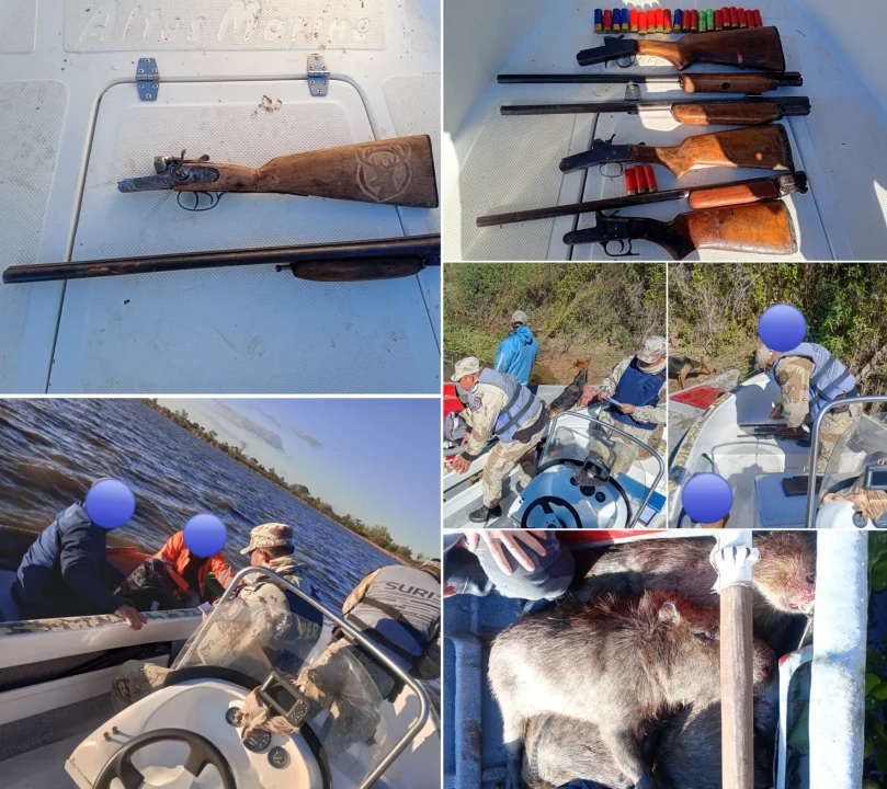 Secuestraron armas y detectaron cazadores con carpinchos faenados en la zona de islas de Victoria
