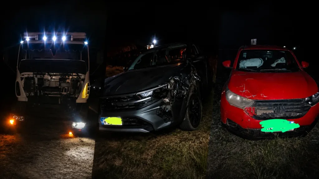 Un camión atropelló un vacuno y otros dos vehículos chocaron contra el animal sobre la Ruta 12