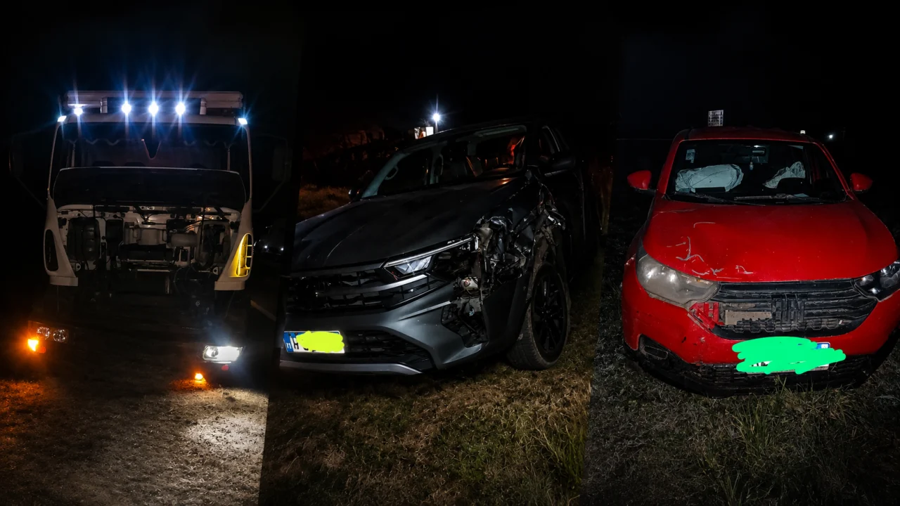 Un camión atropelló un vacuno y otros dos vehículos chocaron contra el animal sobre la Ruta 12