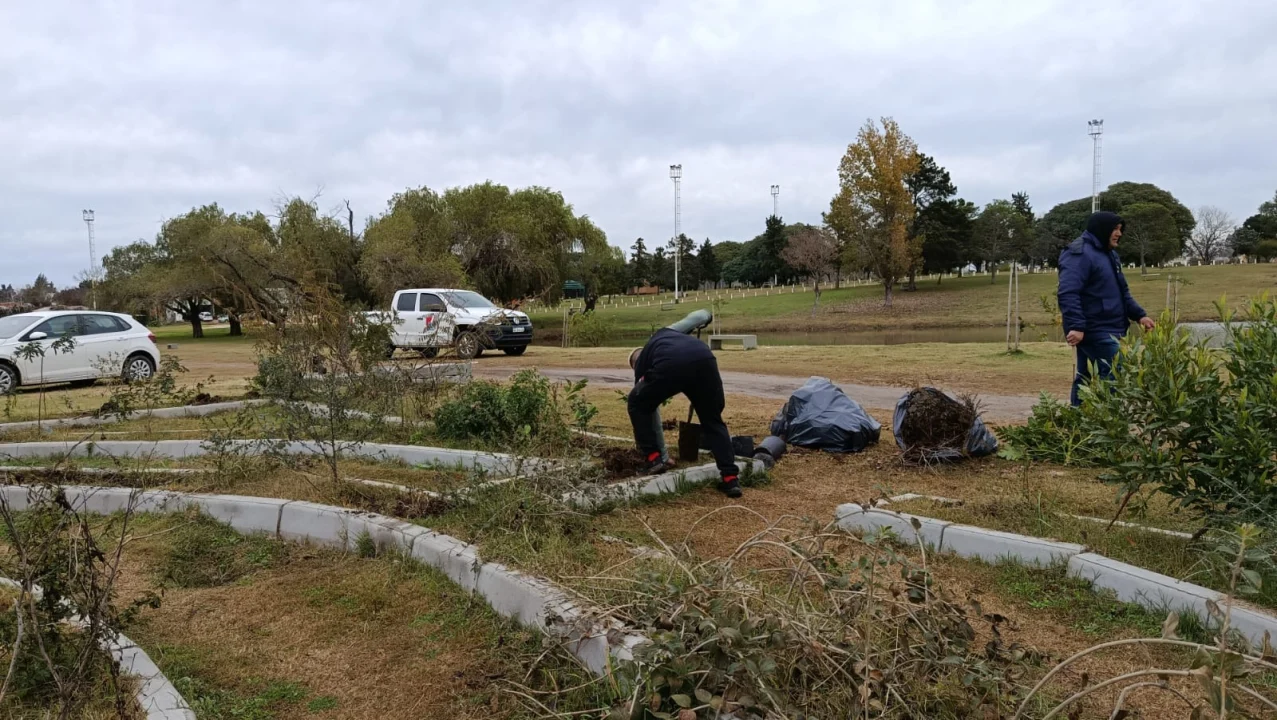 Trabajan en el mantenimiento del laberinto verde del Parque de la Ciudad