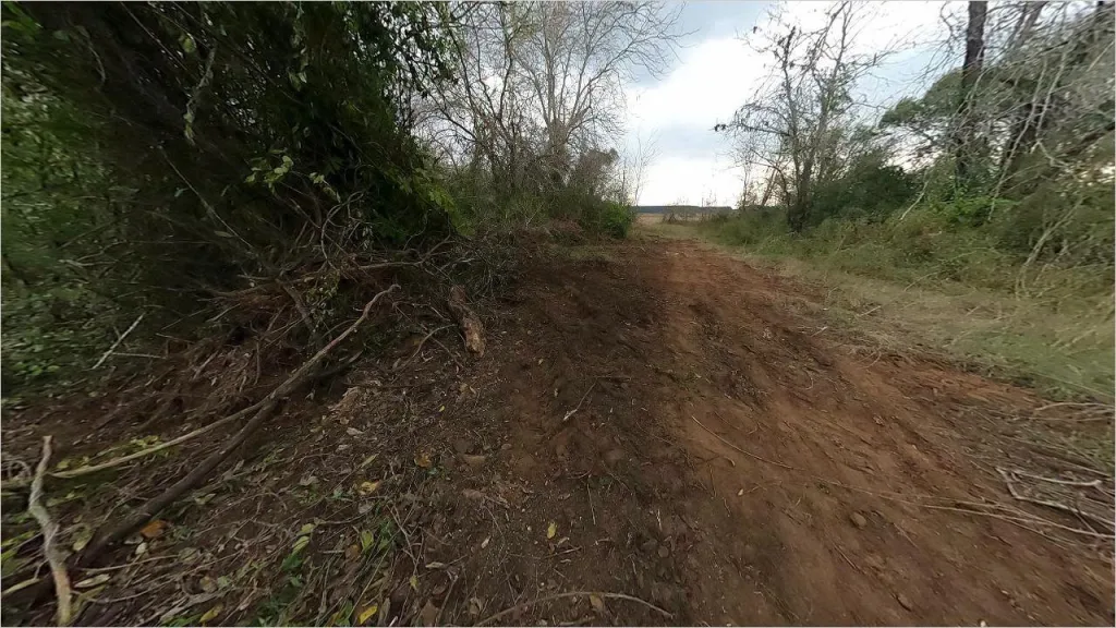 Advierten sobre la apertura de un camino en el monte de Paso Vera hacia un campo privado