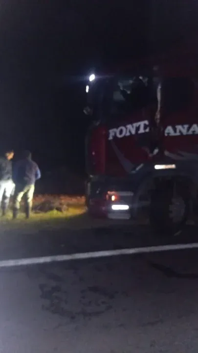 Un camión chocó contra una vaca sobre la Ruta Nacional 12 y el animal murió