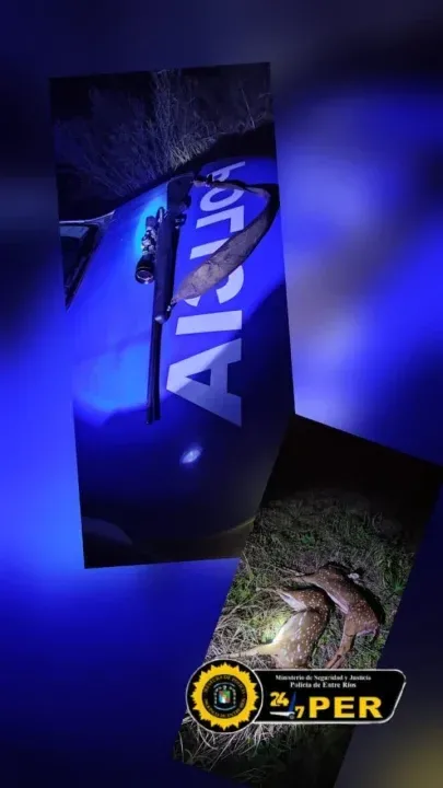 Secuestraron un fusil y decomisaron ciervos axis tras detectar un caso de caza ilegal en Federal
