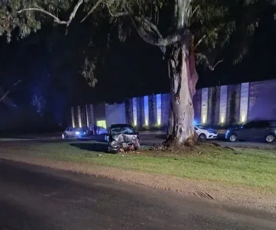 Gualeguaychú: Perdió el control del auto, chocó de frente contra un árbol y fue derivado al Hospital Centenario