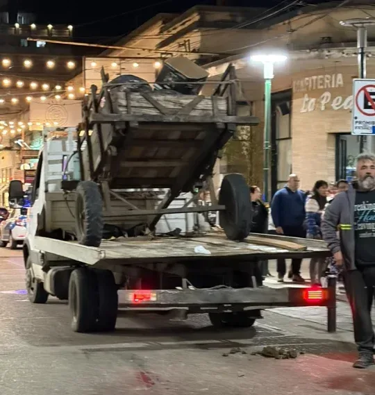 La Justicia confirmó el secuestro definitivo del caballo que colapsó en pleno centro de Concepción del Uruguay