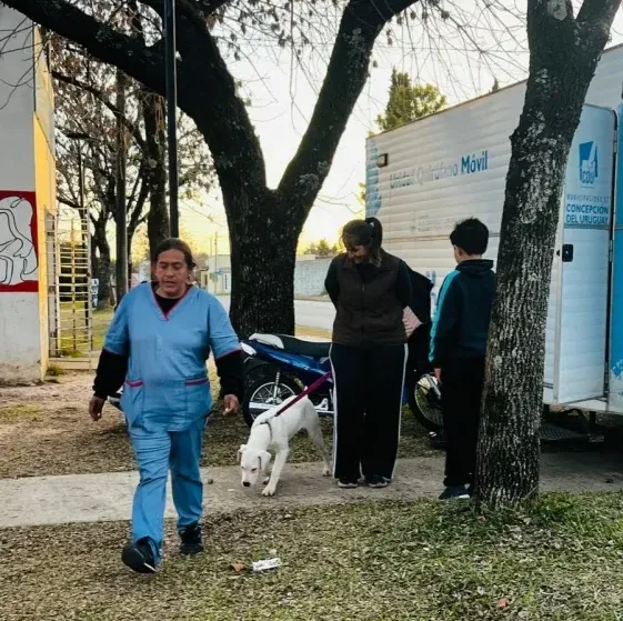 El Castramóvil continuará en el barrio Matadero