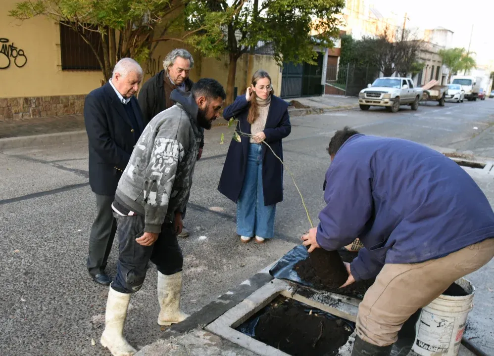 Nueva instancia en la plantación de 100 árboles en la ciudad
