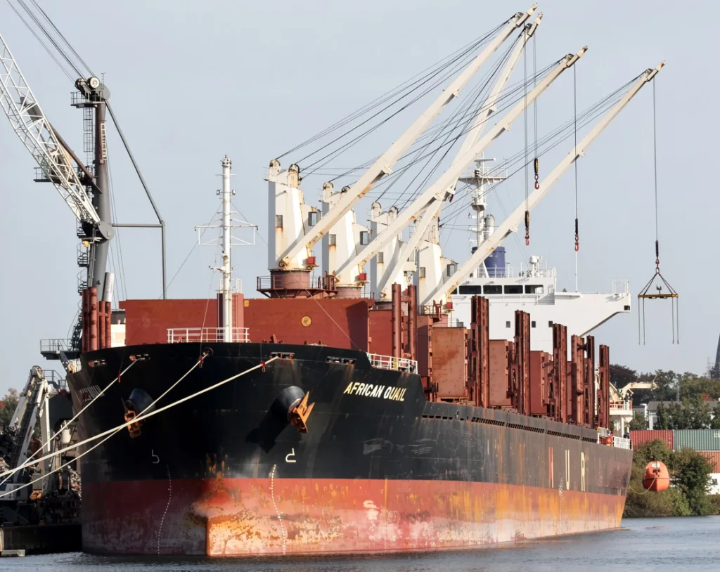 El puerto de Concepción del Uruguay se prepara para una nueva exportación de madera con destino a India