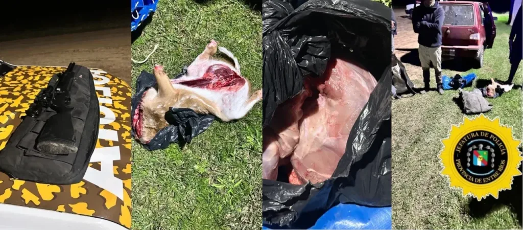 Federación: Operativo contra la caza furtiva: secuestran un carpincho, un ciervo y un arma de aire comprimido
