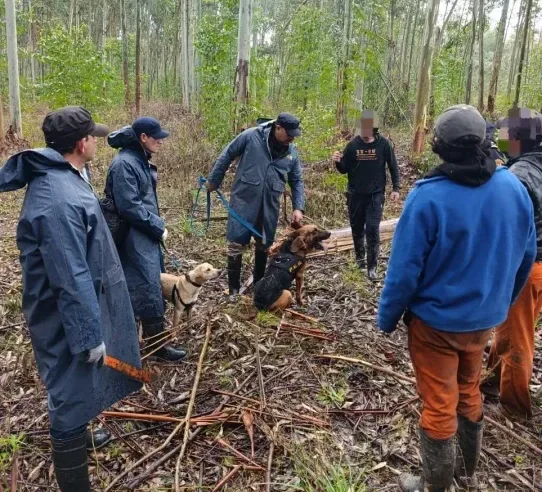 Concordia: Canes localizaron en buen estado de salud a un hombre que era buscado en una zona rural