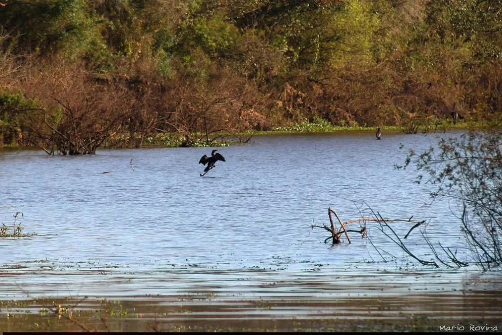 Hotel-Casino en la Isla del Puerto: entre la falacia del progreso, la evidencia científica y la violación del derecho ambiental