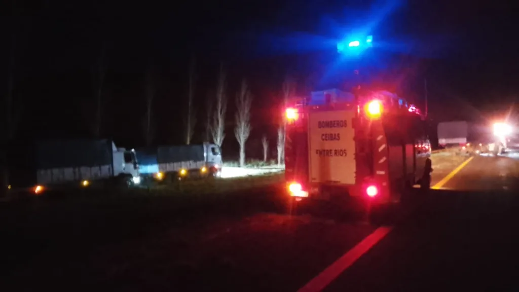 Un desperfecto mecánico terminó con un camión despistado en la Autovía 14