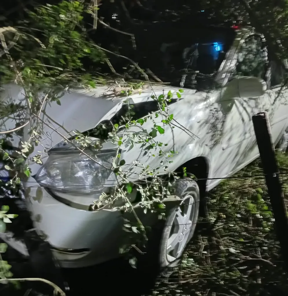 Despistó en el acceso al Palacio San José y dos personas resultaron golpeadas
