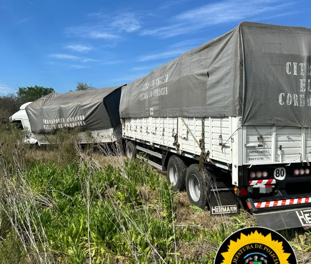 Rosario del Tala: Despiste de un camión en la Ruta Provincial 6