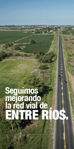 Publicidad Política