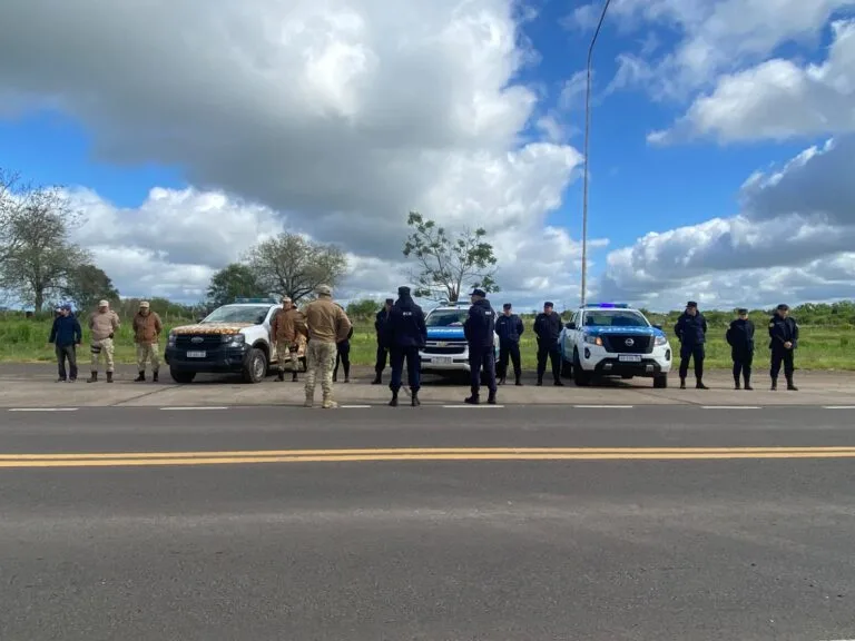 Federal: Secuestraron armas, municiones y carne de jabalí en un allanamiento por caza furtiva