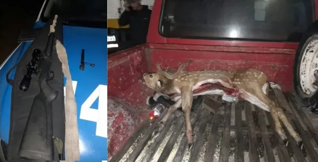 Colonia Elía: secuestraron un arma y un ciervo axis en un operativo por caza ilegal